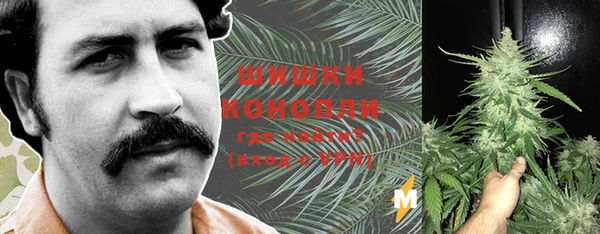 индика Красноперекопск