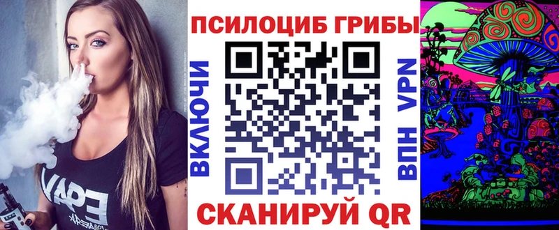 Галлюциногенные грибы Psilocybine cubensis  купить  цена  Бологое 